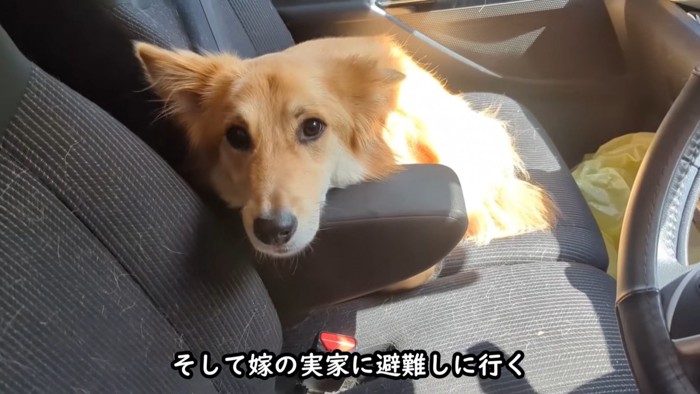 病院に行くと勘違いするりゅうちゃん