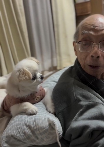 見つめあう人と犬