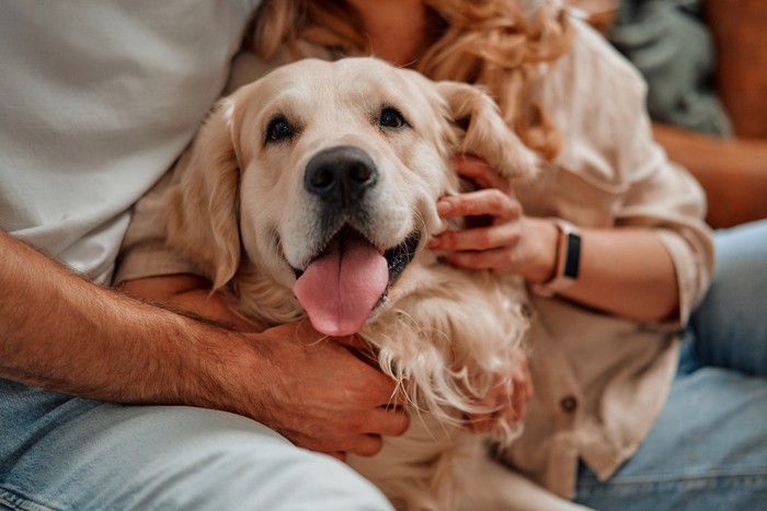 男女の間に犬