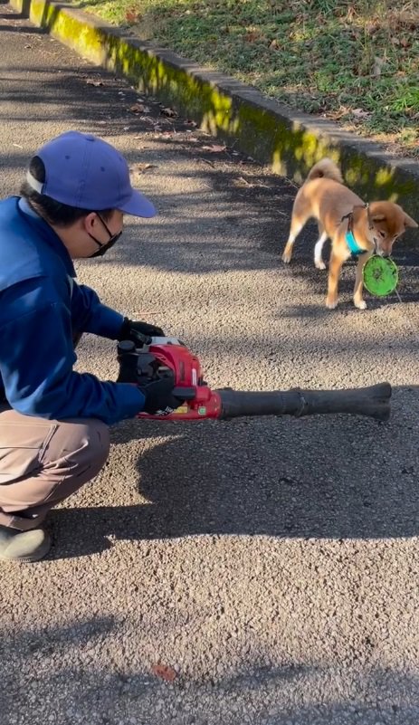 公園で噂になっていた！