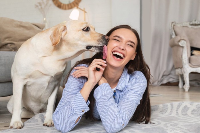 大型犬に顔を舐められる女性