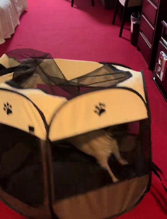 投稿主さんに突っこんだ