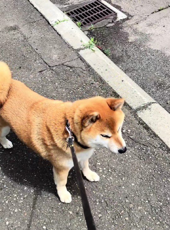 おじいちゃんが亡くなった…