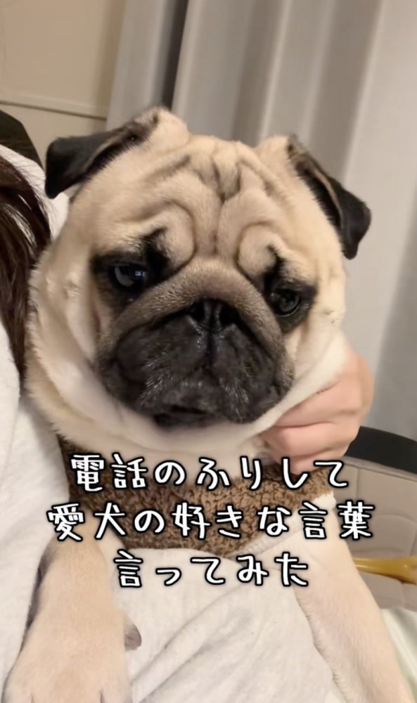 じっと聞いてます