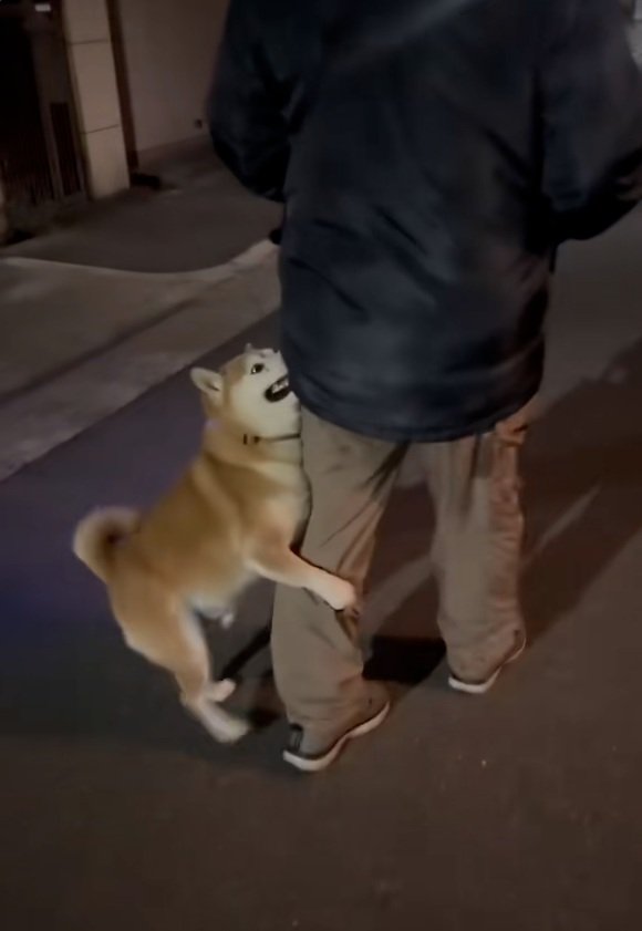 絶対に離れないロンくん