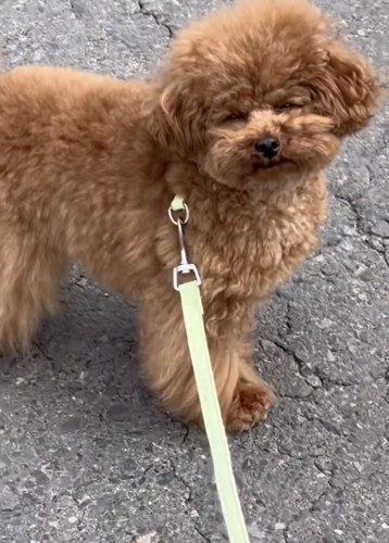 まさかの寝たふり！