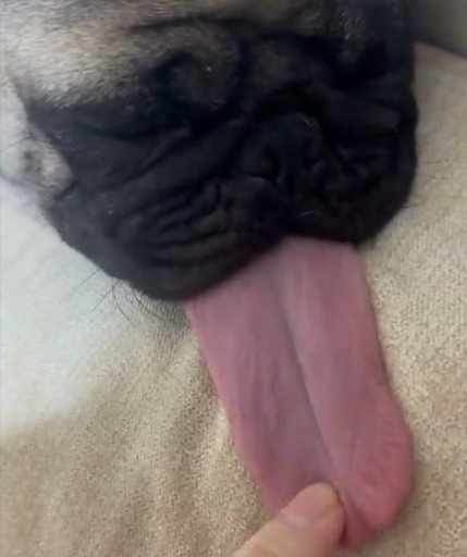 衝撃的な