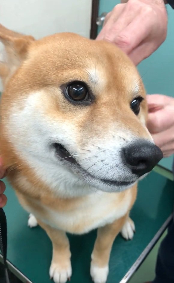 表情が変わっていくれお君