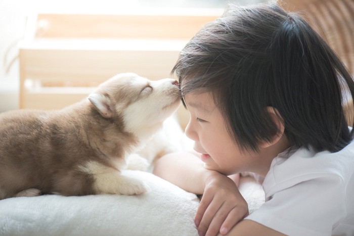 男の子のオデコを舐める犬