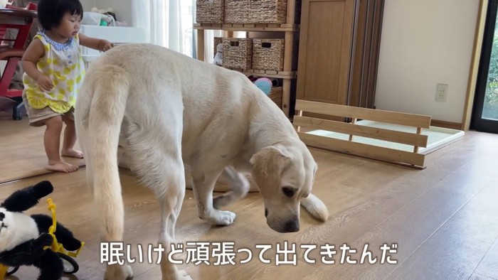 「わたしも混ぜて~」