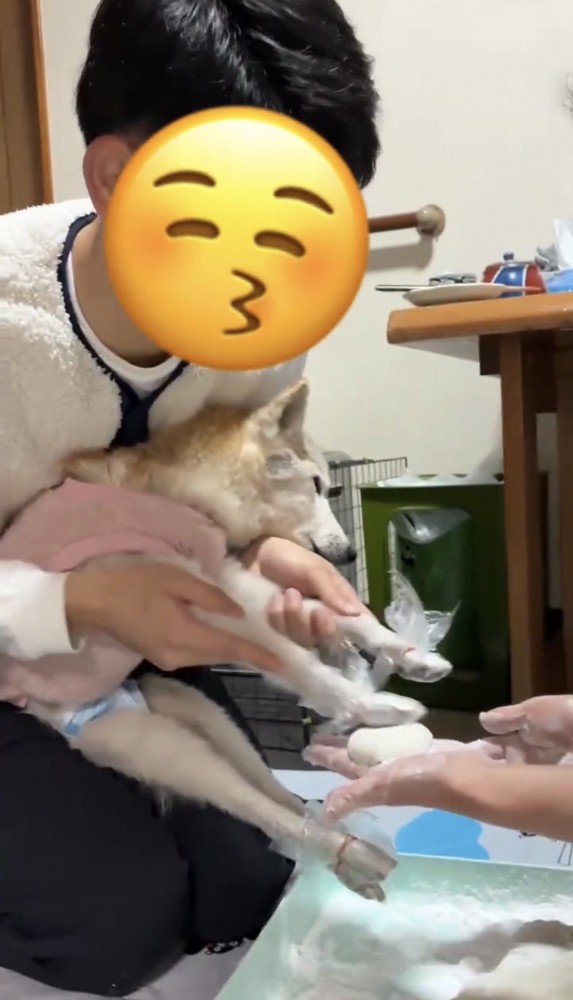 抱っこされながらお餅にそっと前足を添える犬