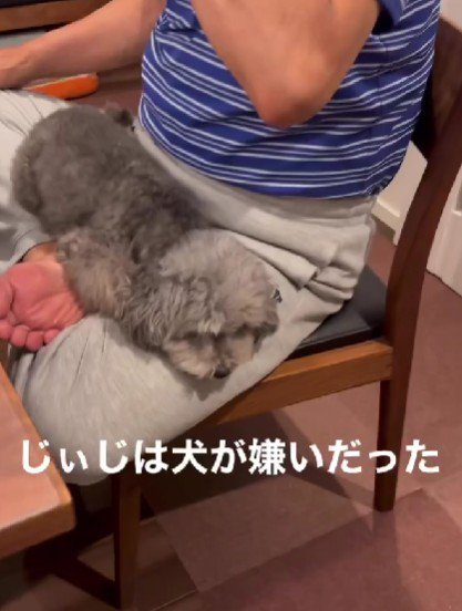 犬を迎えたら…？