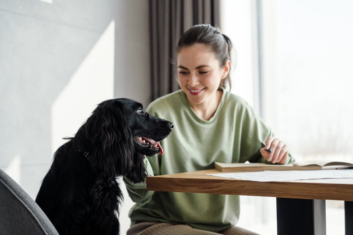 テーブルで勉強する女性に寄り添う犬