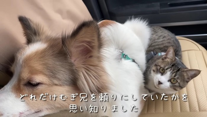 震えが止まらなくなった…