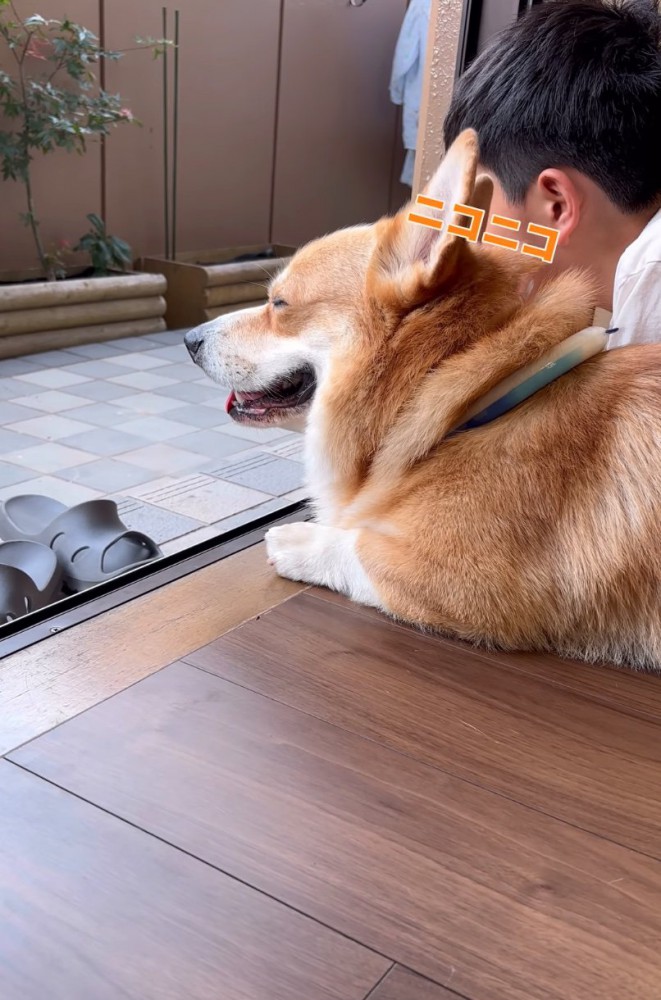 目を細める犬