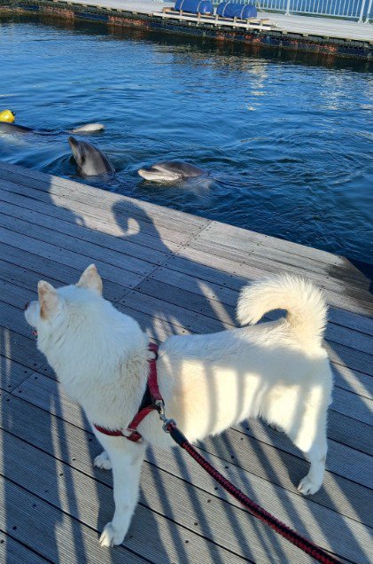 水族館の中を警備