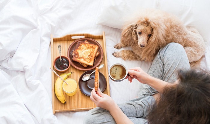 飼い主と犬が座ってる写真