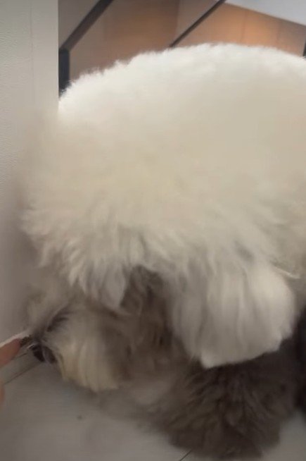「誰がしたん？」