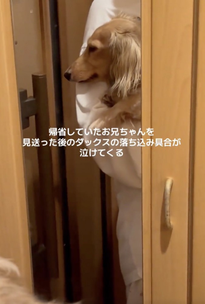 お兄ちゃんへの愛が伝わってきます