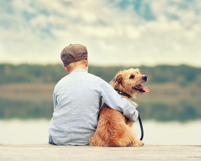 座っている子供と犬