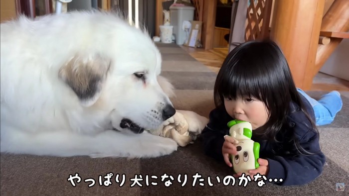 犬になりたい！？