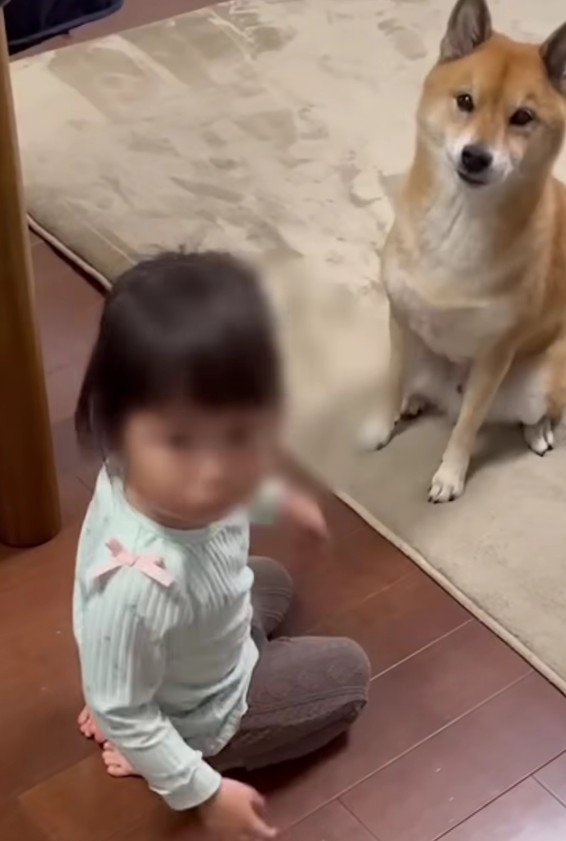 仲良くなれなかった2人