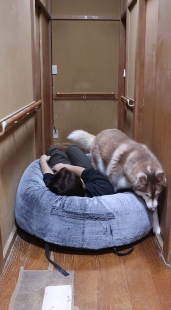 パパさんが避けてから通過