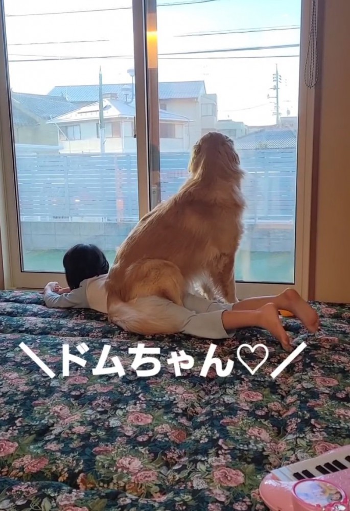 呼びかけ