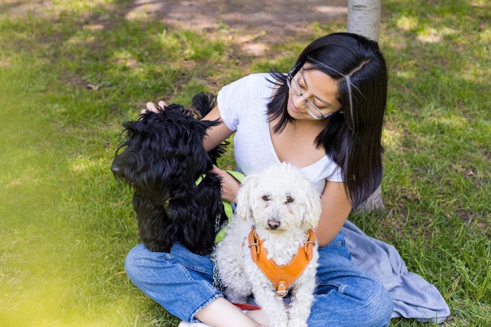 白犬の前で黒犬をかわいがる女性