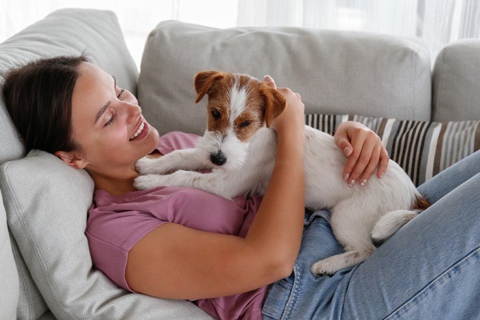 飼い主にホリホリする犬