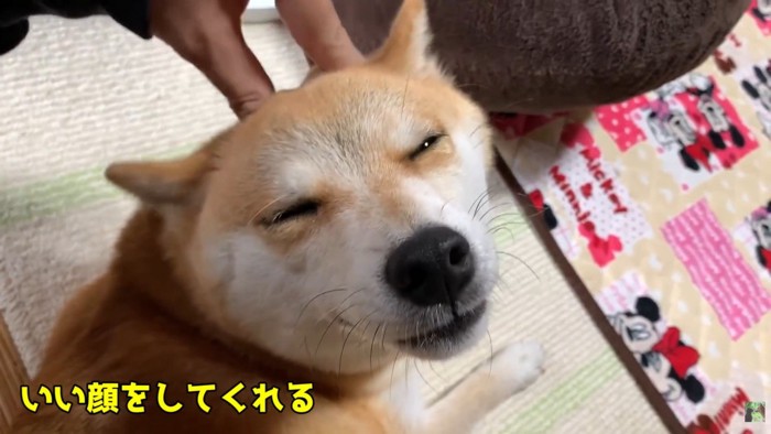 幸せそう♡