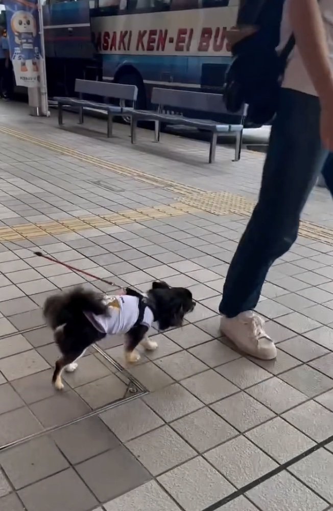 「もしかして…！？」