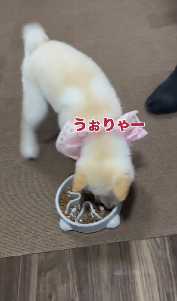 集中力