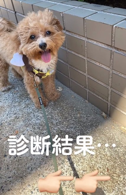 笑顔のマルくん
