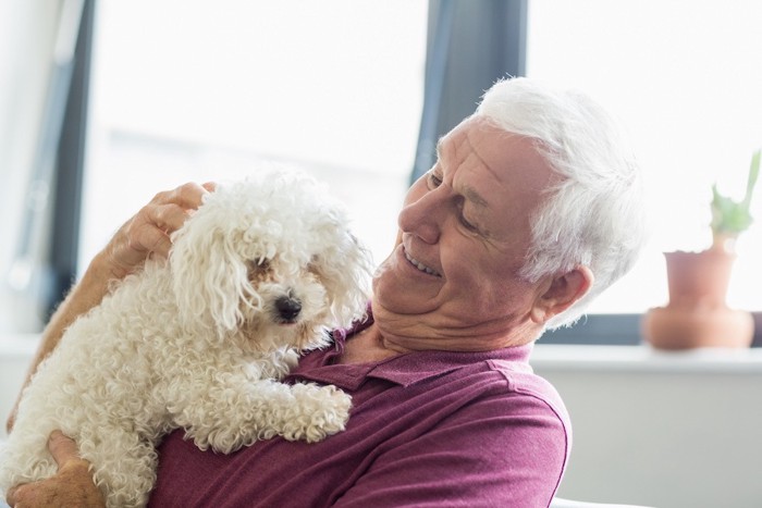 小型犬を抱く年配の男性