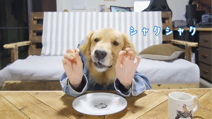 リンゴを食べる犬