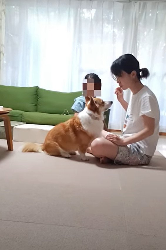 飼い主さんの前に移動するフライちゃん