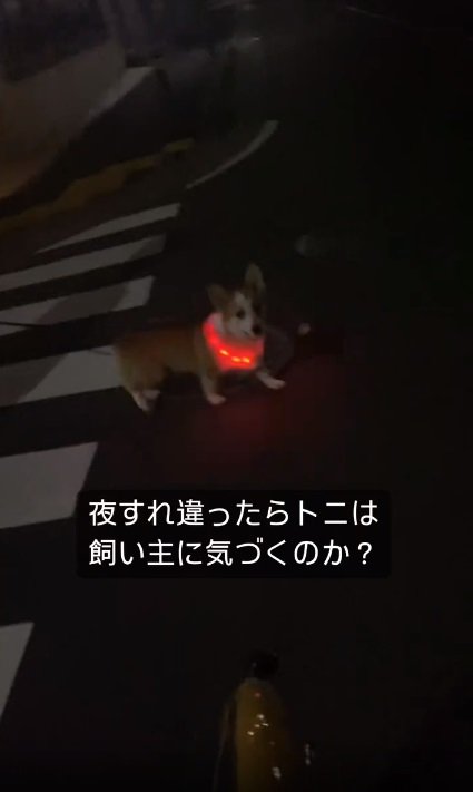 ママとすれ違ったトニくん