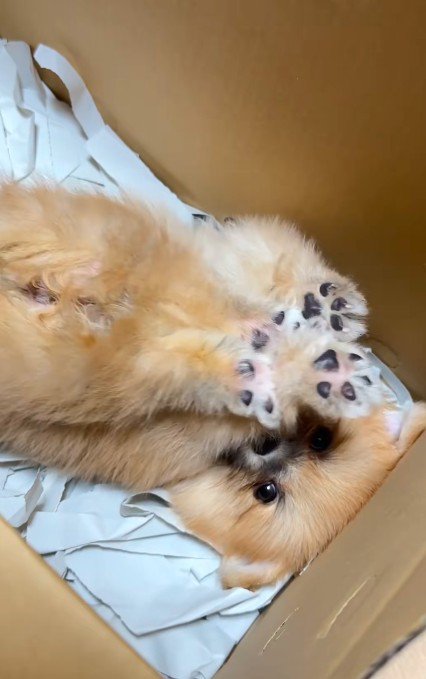 独特な伸びをして…