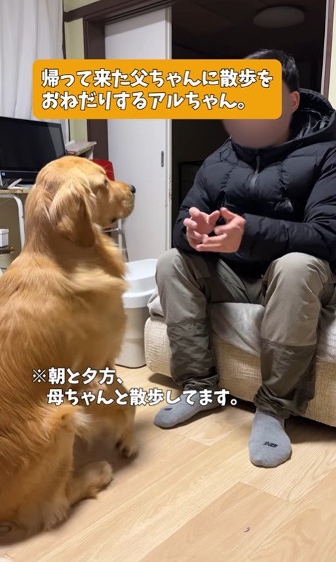 アルトくんのお散歩催促