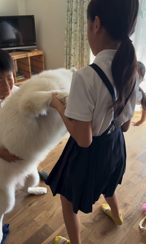 帰宅後のお子さんたちとまる君5