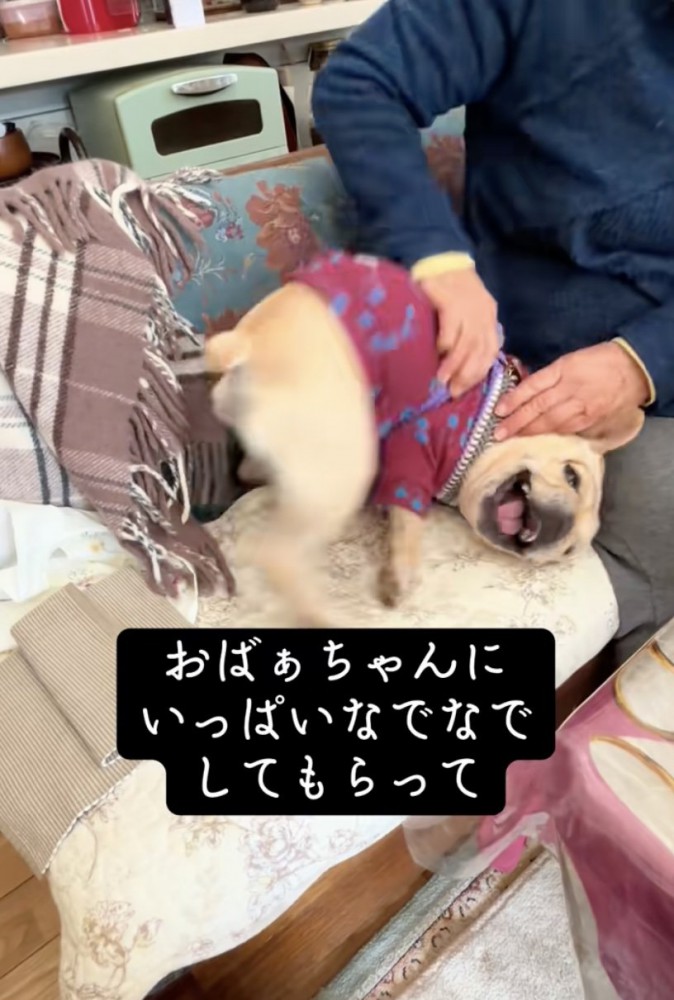 「キャッハー」