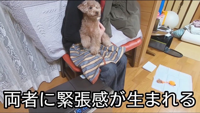 女性の膝の上に乗る犬