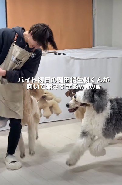 大型犬の勢いは止まらない…