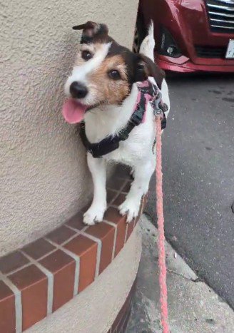 軽々と乗れちゃう♪