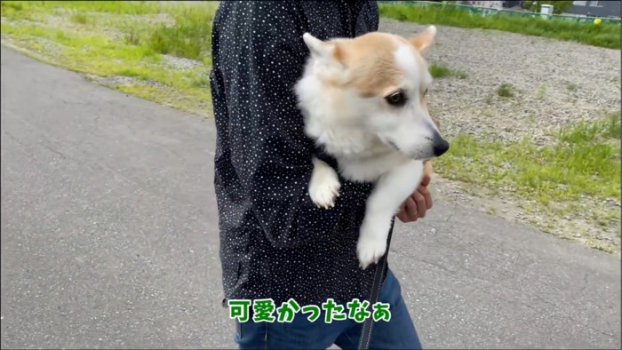 抱っこしてもらう犬