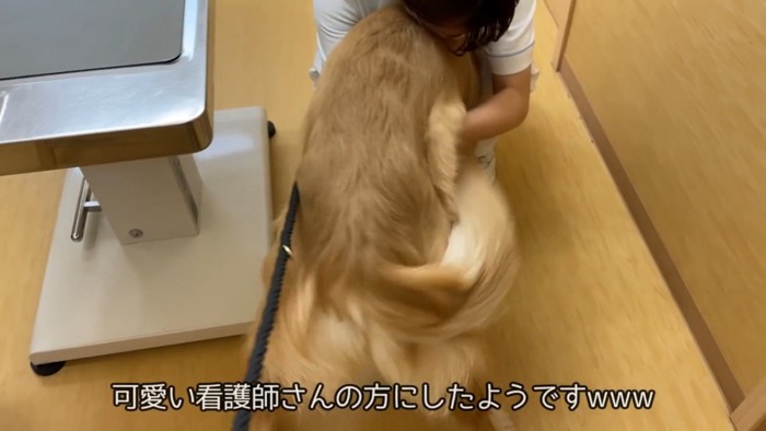 獣医さんより、看護師さんが好き！？