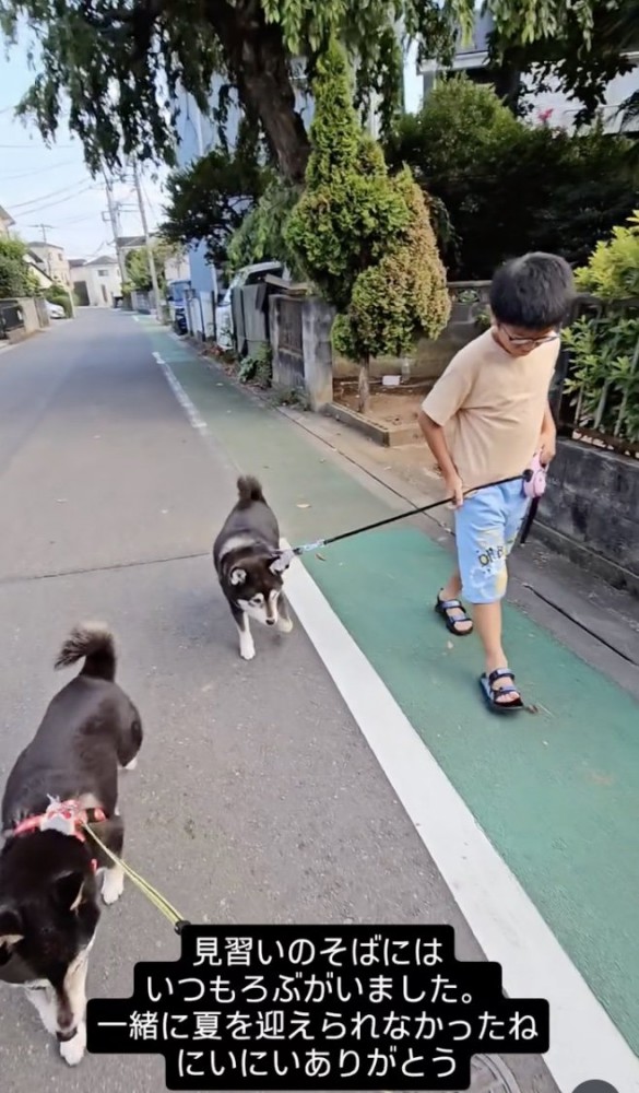 ろぶくんに合わせて歩く