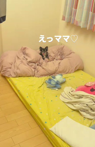 こっそり帰宅したら?