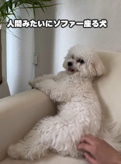 人間のような貫禄!!